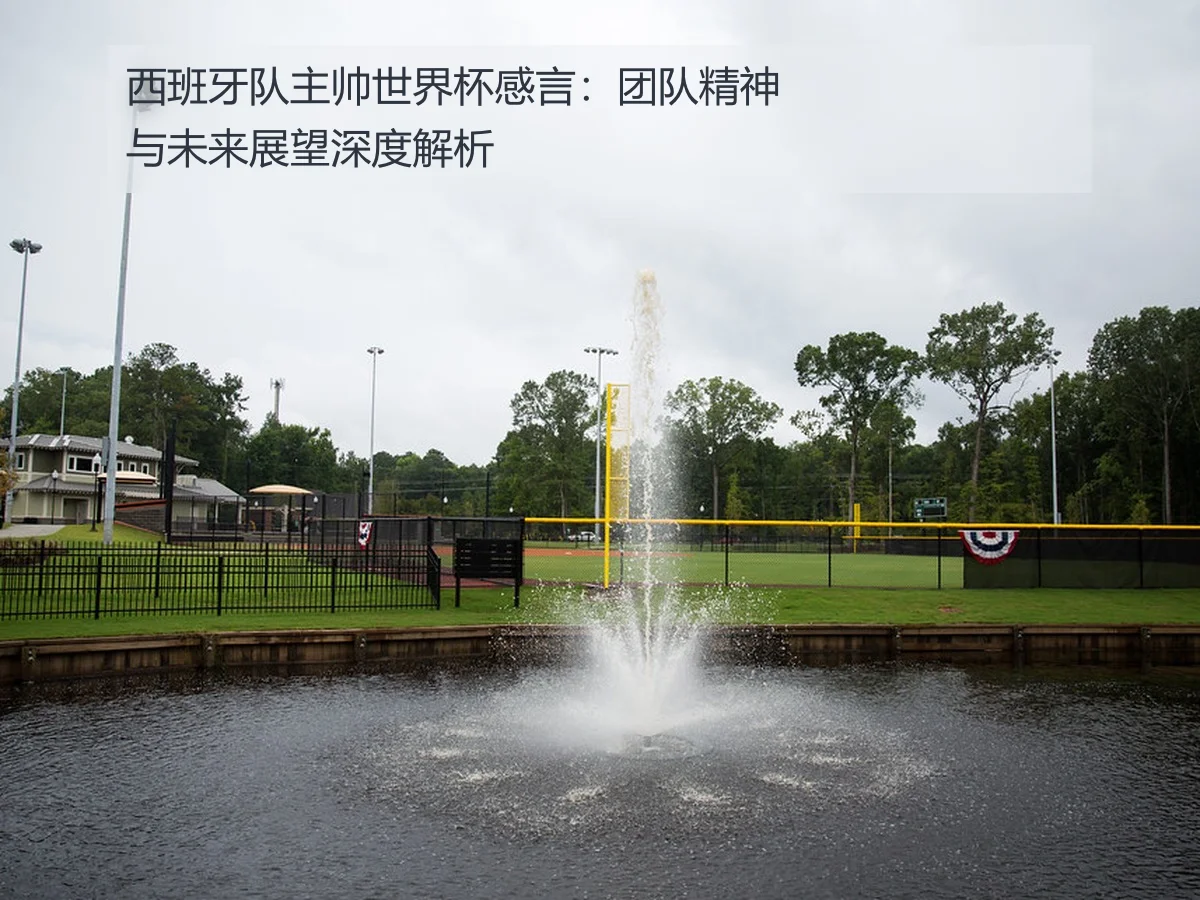 西班牙队主帅世界杯感言:团队精神与未来展望深度解析